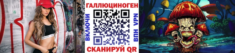 где продают наркотики  Мурино  Псилоцибиновые грибы мицелий 